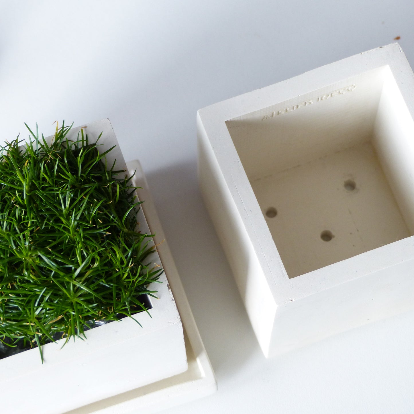 Pot de fleurs carré en béton blanc avec soucoupe et drainage