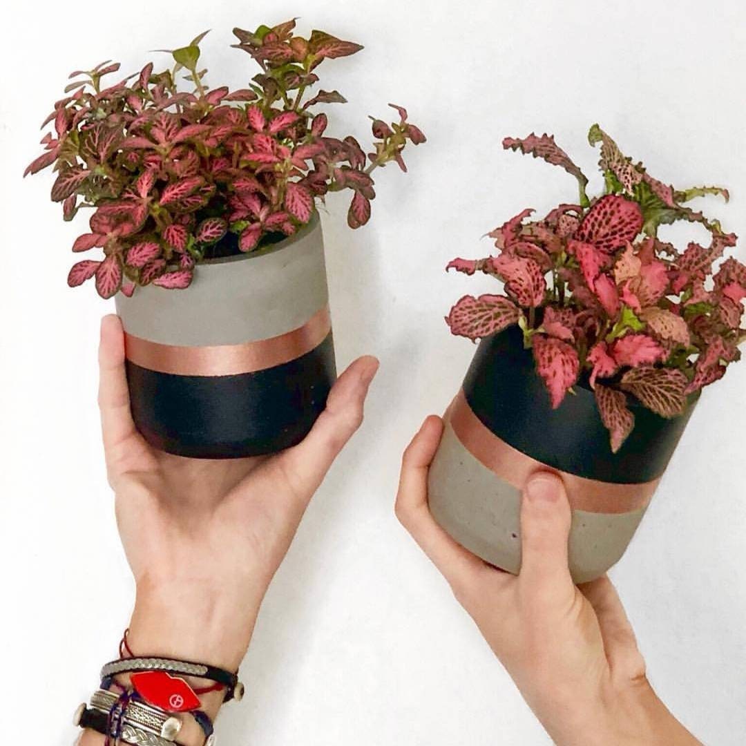 Duo of black and rose gold round flower pots (rose gold)