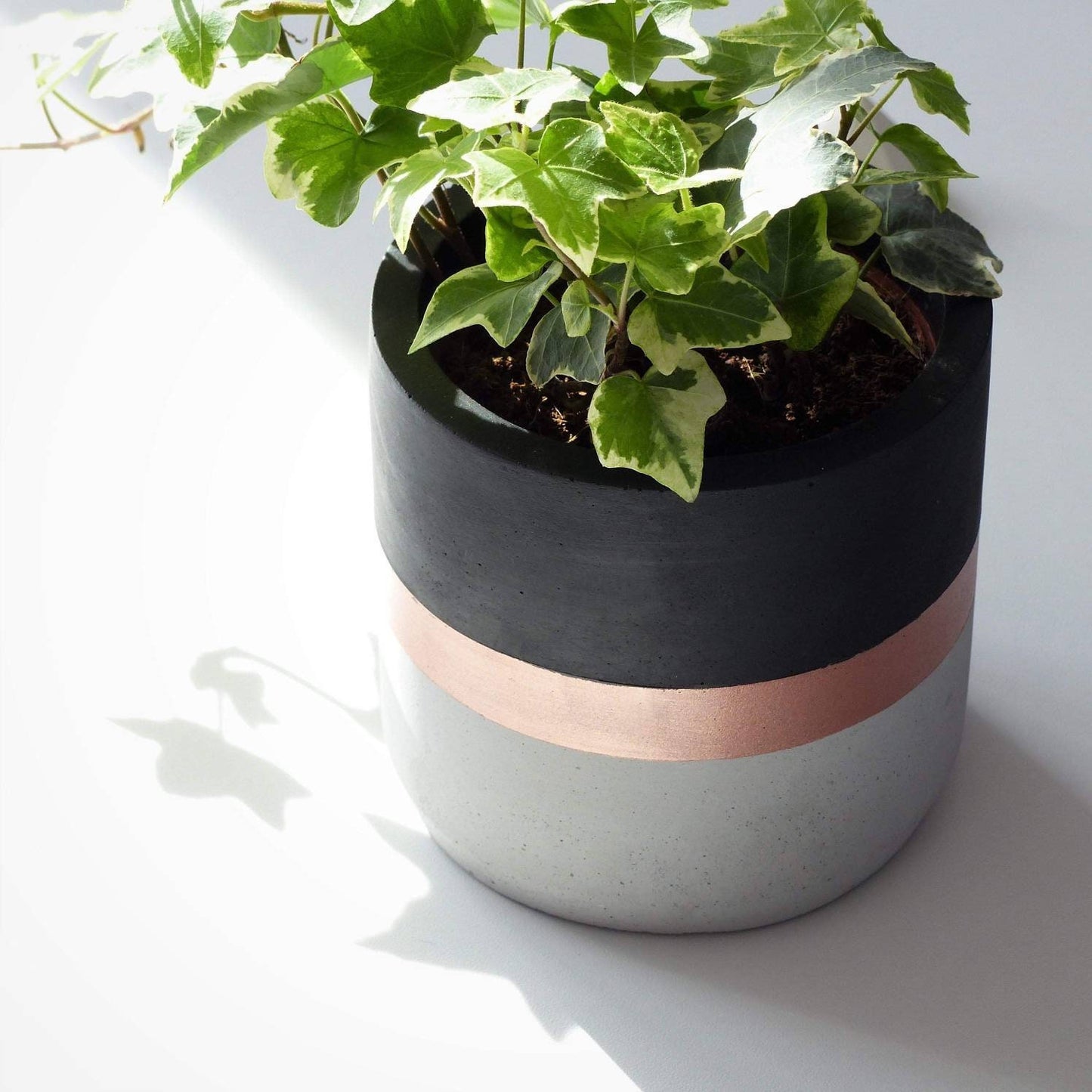Duo of black and rose gold round flower pots (rose gold)